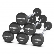 Штанга Synergee Fixed Easy Curl Barbell