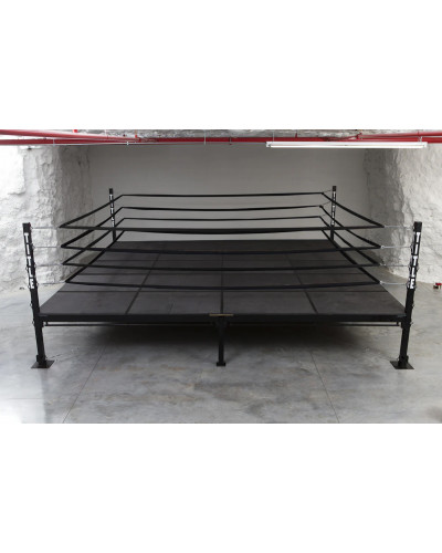 Ринг TITLE Boxing Professional Training Ring