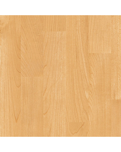 Виниловое покрытие Gerflor Subflex Taraflex Evolution Wood