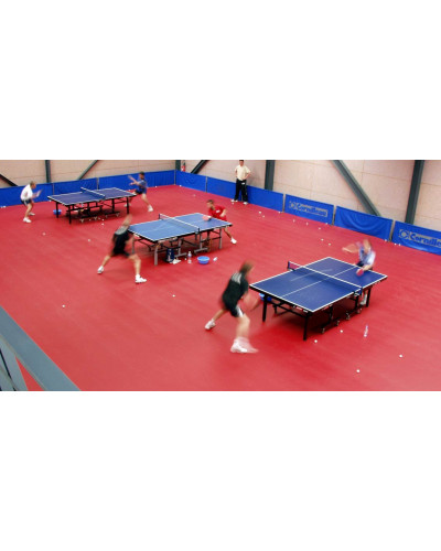 Виниловое покрытие Gerflor Taraflex Table Tennis 4,5 мм
