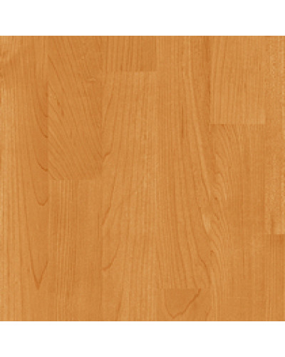 Виниловое покрытие Gerflor Taraflex Multi-Use 6,2