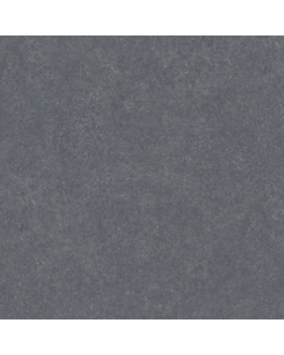 Виниловое покрытие Gerflor Taraflex Multi-Use 6,2