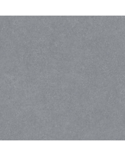 Виниловое покрытие Gerflor Taraflex Multi-Use 6,2