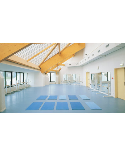 Покрытие Gerflor Surface Uni