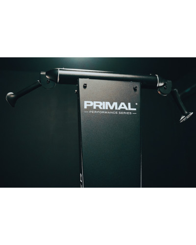 Лыжный тренажер Power HIIT Primal Performance Series