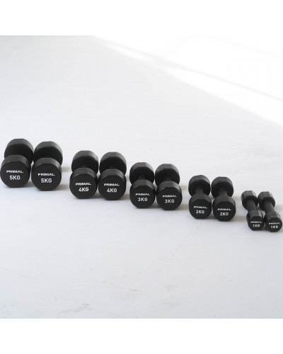 Уретановые студийные гантели Primal Performance Series