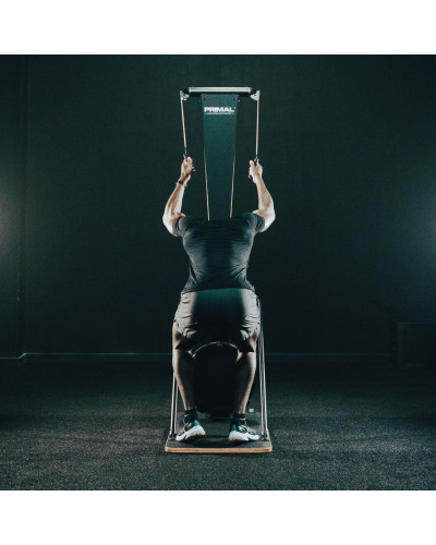 Лыжный тренажер Power HIIT Primal Performance Series