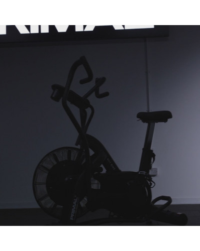 Воздушный велотренажер HIIT Primal Performance Series