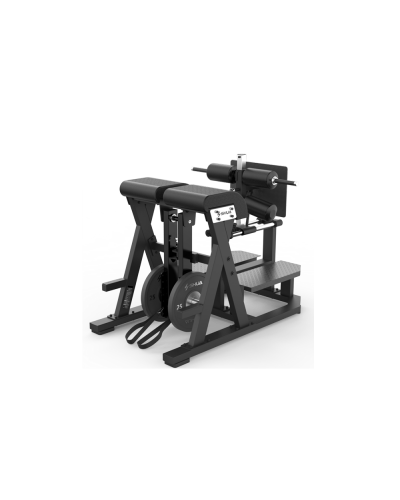Скамья для ягодиц и подколенных сухожилий Shua SH-G8924
