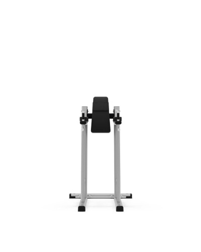 Станция для подъемов ног/отжиманий Exigo Leg Raise/Dip Station