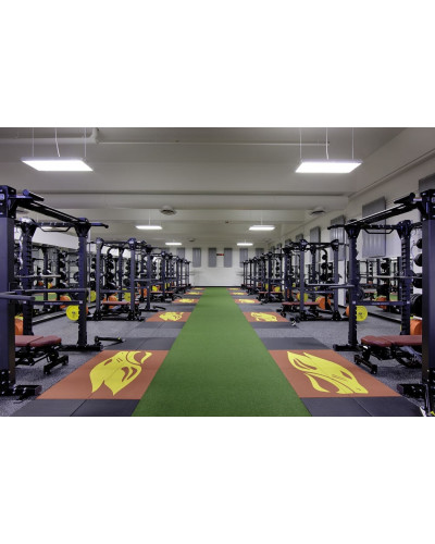 Спортивний газон Performance Turf