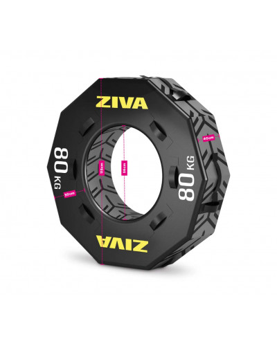 Автошина ZIVA SL