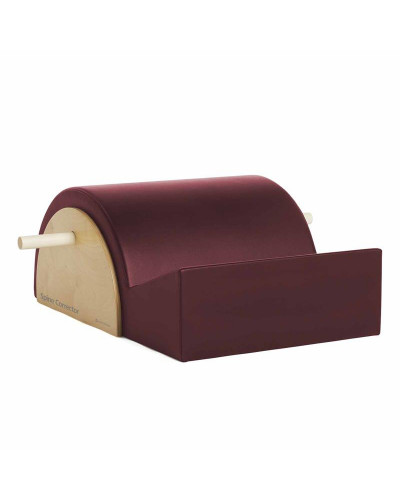 Merrithew Spine Corrector